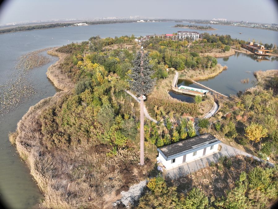 仿生树美化塔