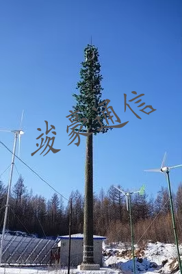 美化树