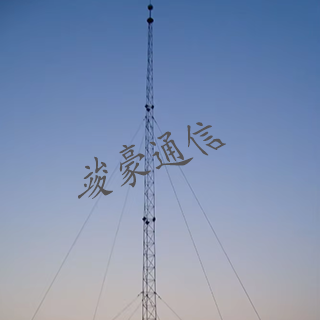 装饰避雷针/避雷针电线塔