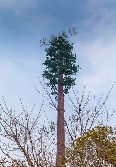 竣豪通信