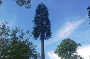 仿树塔：融合自然与科技的杰作