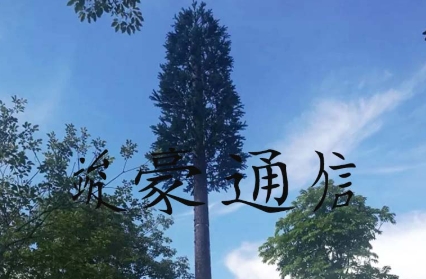 仿树塔：科技与自然的巧妙融合