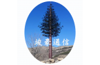 当信号塔“化身”大树：城市里的隐秘伪装